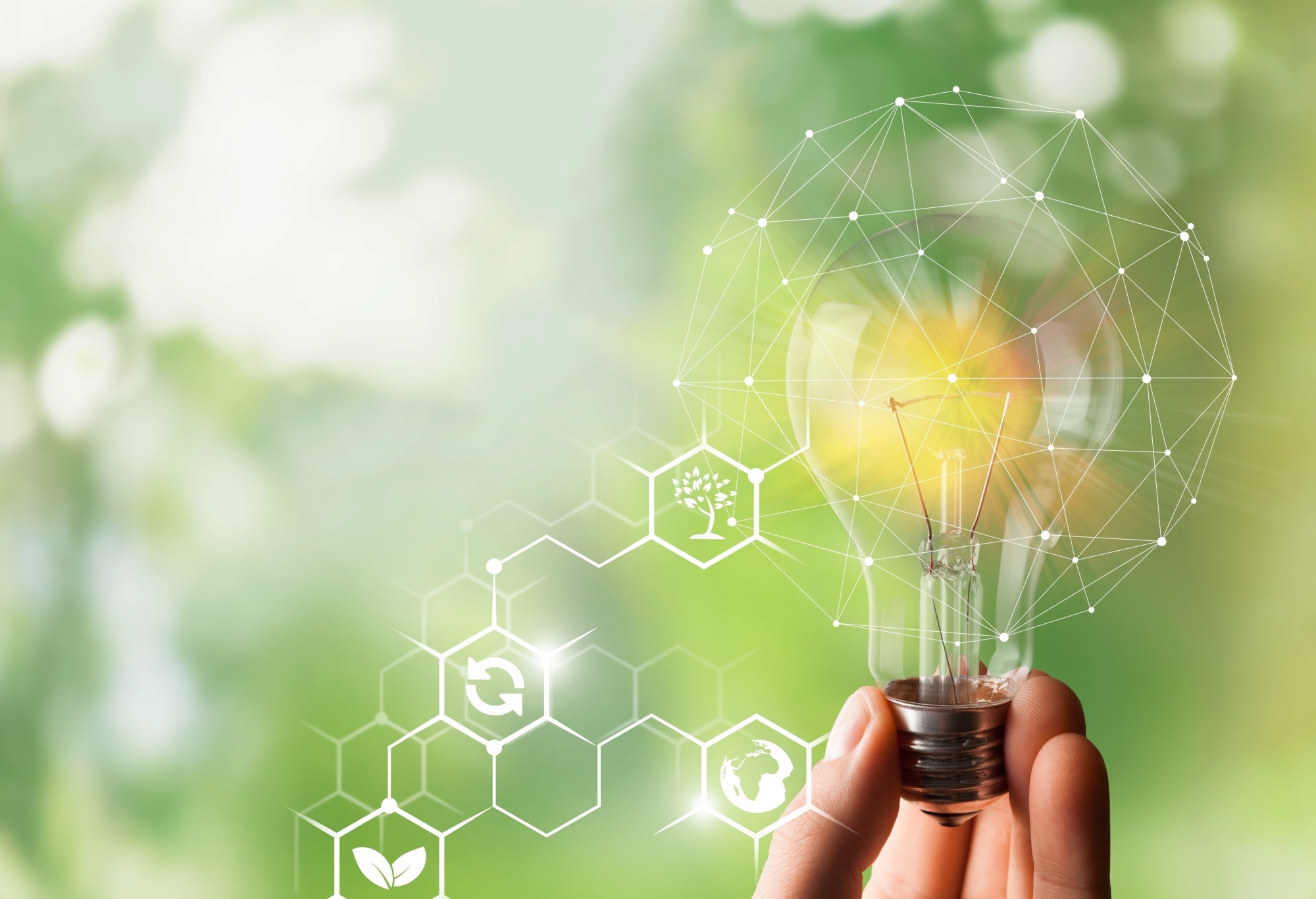 Energy Efficiency and Sustainability